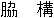 wakikama.gif (146 octets)